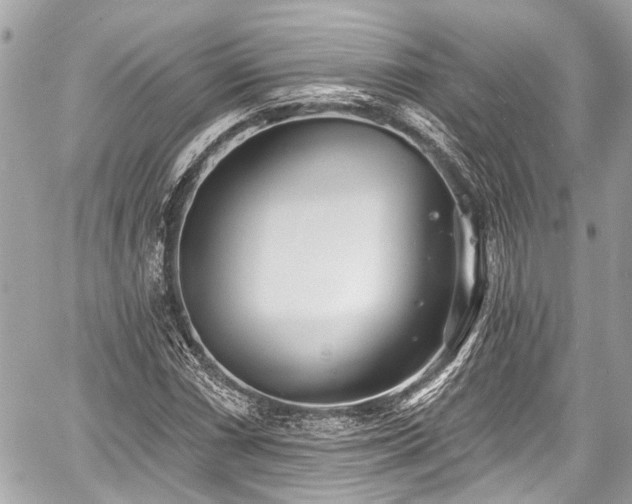 X0000059061066200510101043