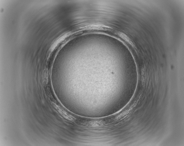 X0000059061067200510101043