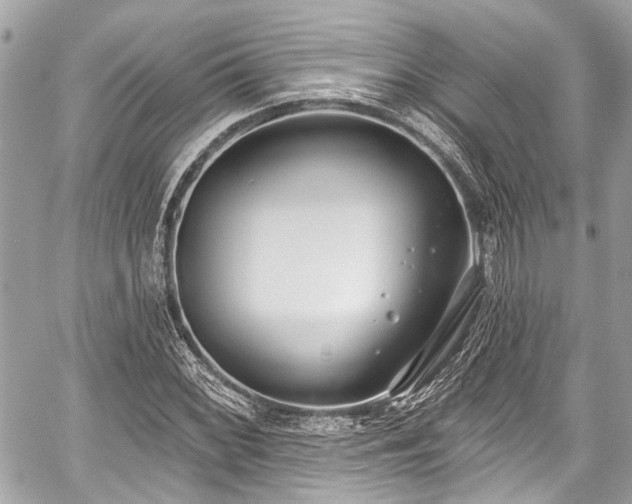 X0000059061068200510101043