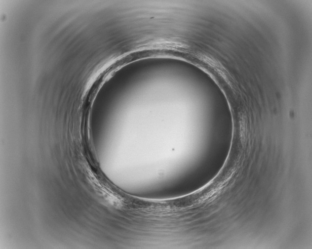 X0000059061069200510101042