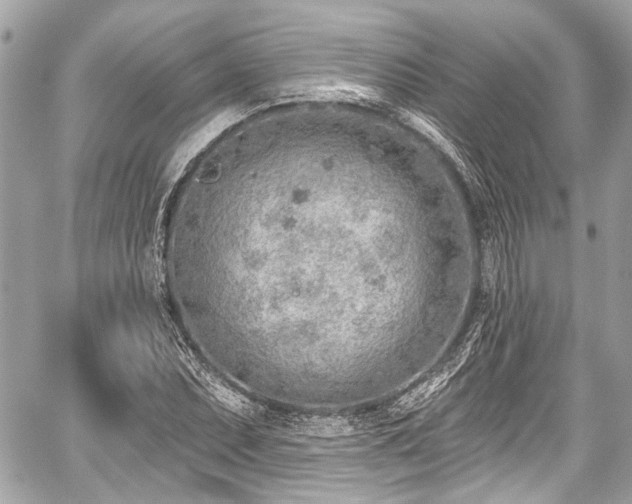 X0000059061071200510101042