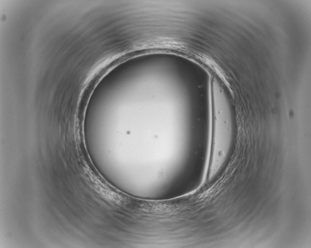 X0000059061072200510101042