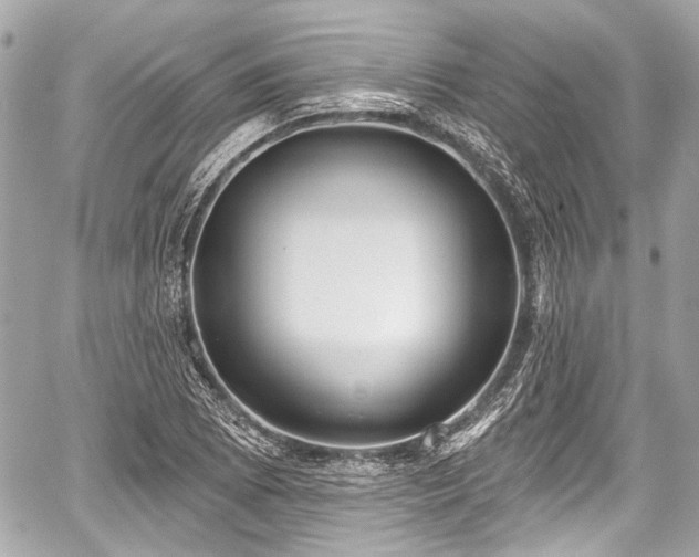 X0000059061073200510101042