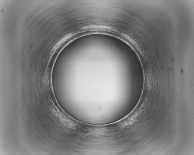 X0000059061074200510101042