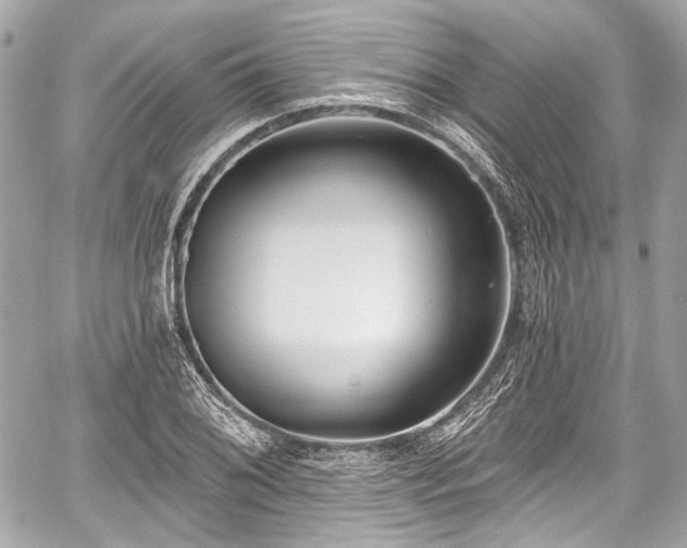 X0000059061076200510101042