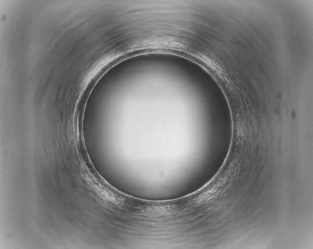 X0000059061078200510101042