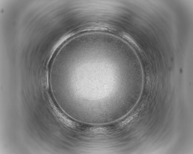 X0000059061079200510101042