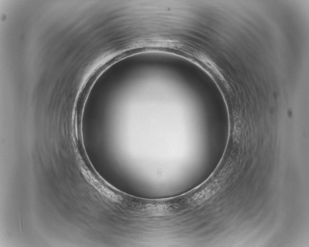 X0000059061080200510101042