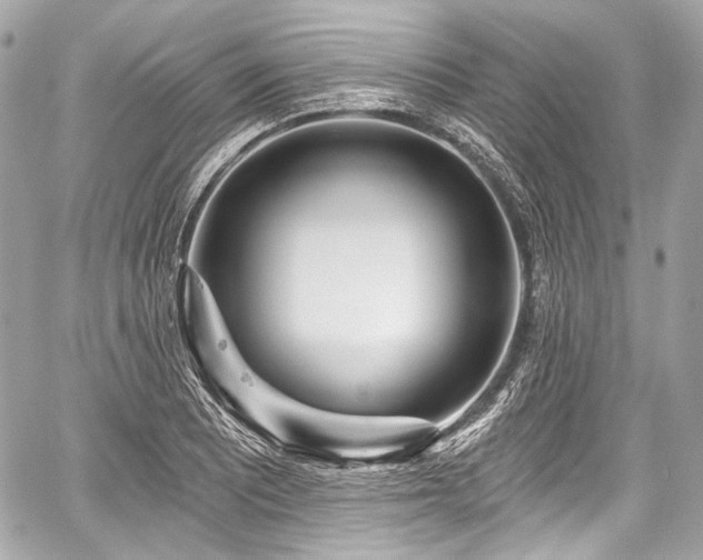 X0000059061081200510101042