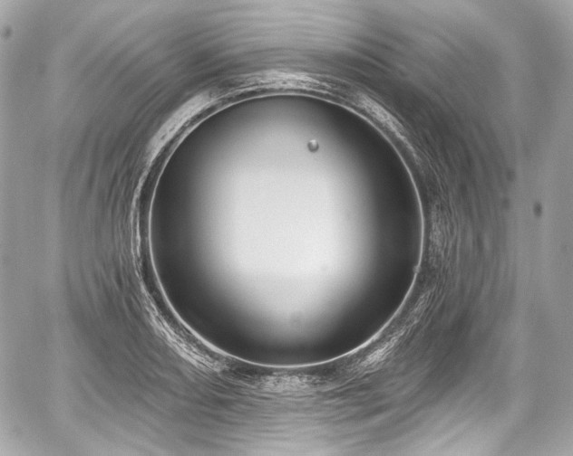 X0000059061082200510101042