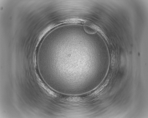 X0000059061083200510101042