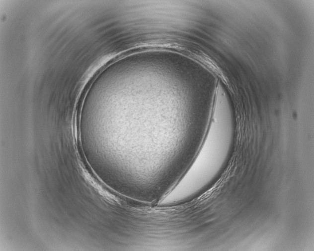 X0000059061084200510101042