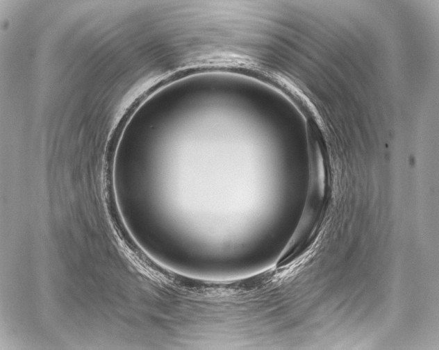 X0000059061085200510101042