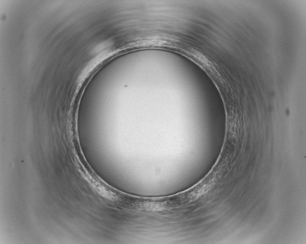 X0000059061086200510101042