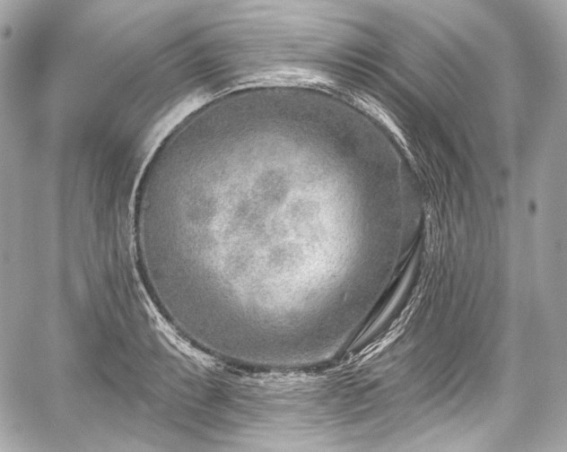 X0000059061087200510101042