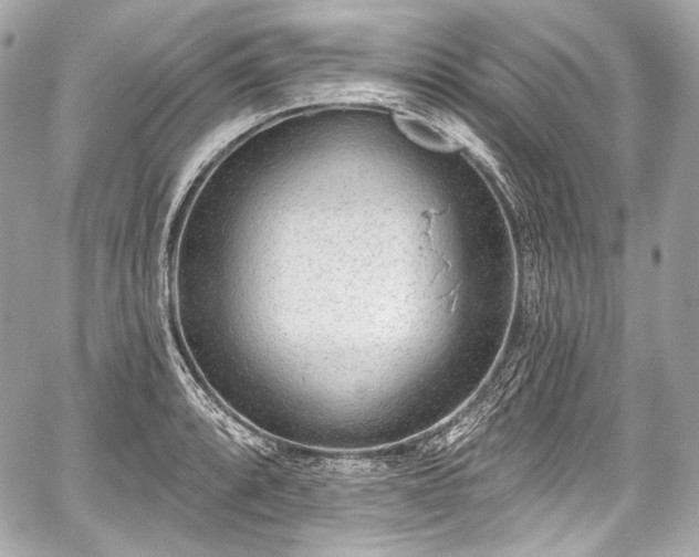 X0000059061088200510101042