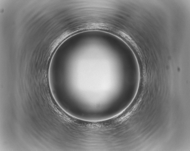 X0000059061089200510101042