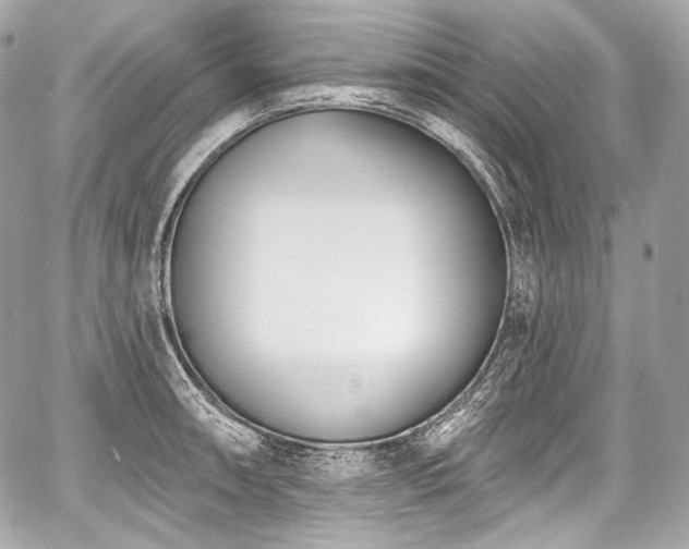 X0000059061090200510101042