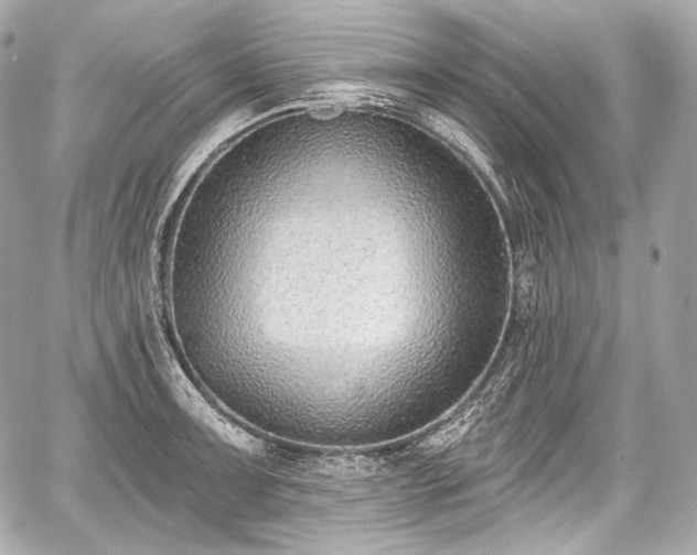 X0000059061091200510101042