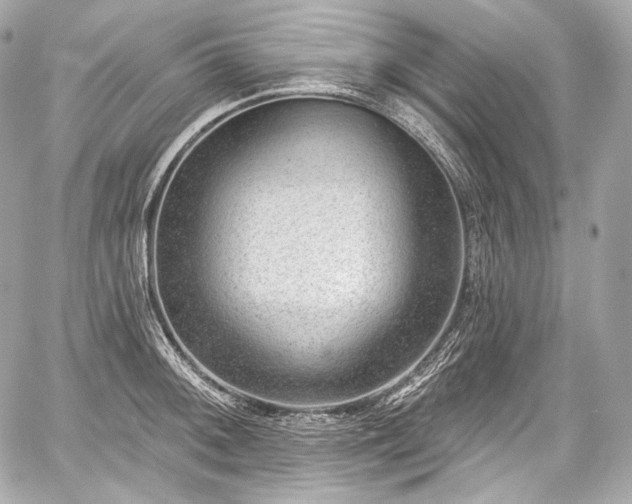 X0000059061092200510101042