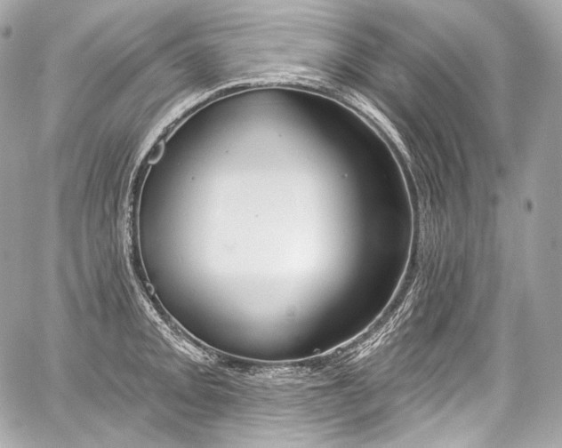 X0000059061093200510101042