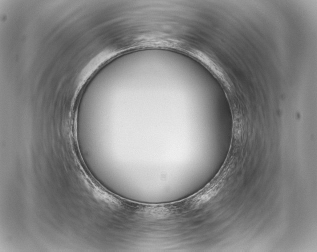 X0000059061094200510101042