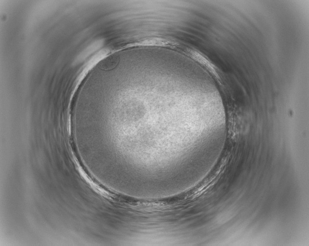 X0000059061095200510101042