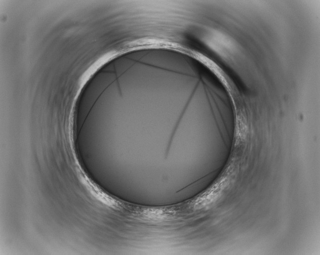 X0000059061098200510101042