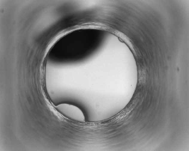 X0000059061099200510101042