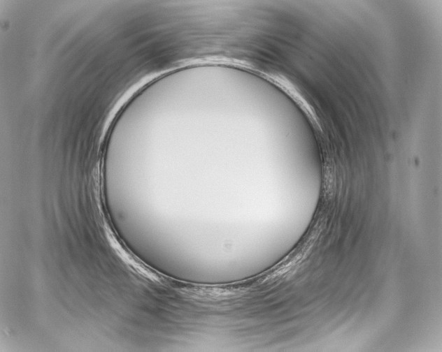 X0000059061100200510101042