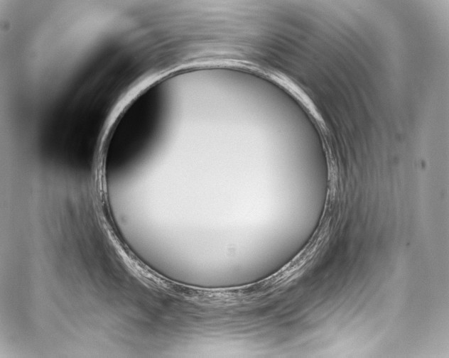 X0000059061101200510101042