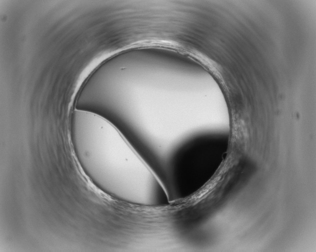 X0000059061102200510101042