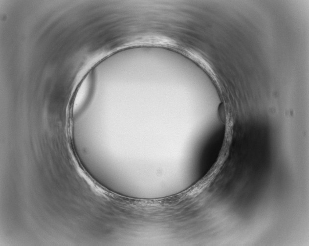 X0000059061103200510101042