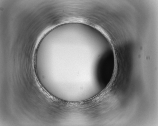 X0000059061104200510101042