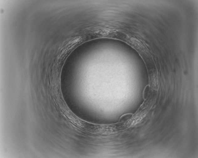 X0000059061105200510101041