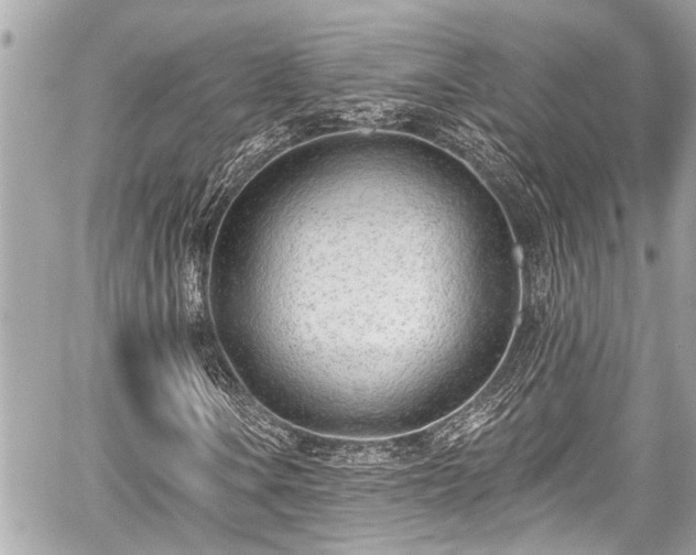 X0000059061106200510101041