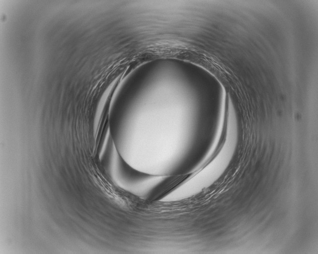 X0000059061108200510101041