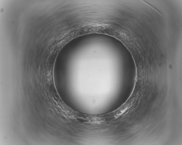 X0000059061109200510101041