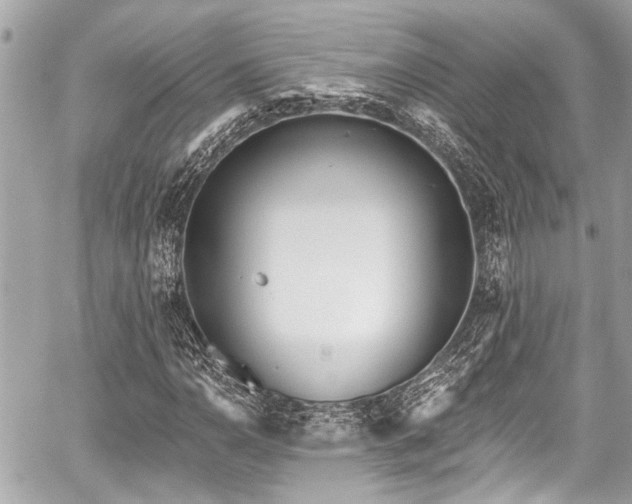 X0000059061110200510101041