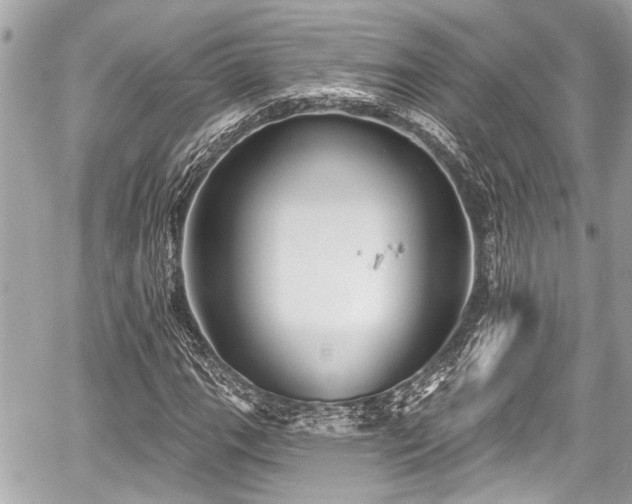 X0000059061111200510101041