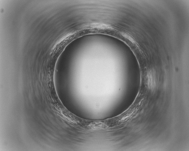 X0000059061112200510101041