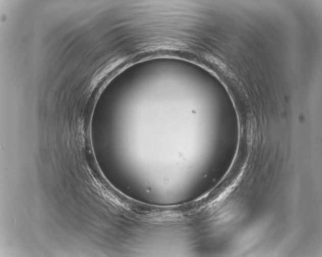 X0000059061113200510101041