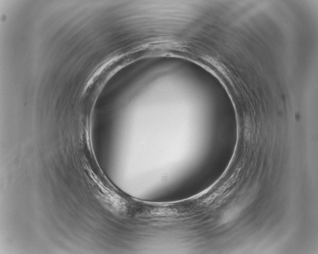 X0000059061115200510101041