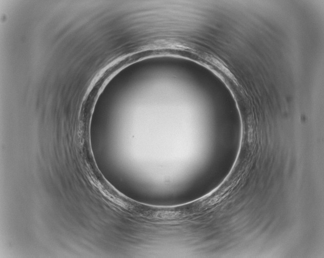 X0000059061116200510101041