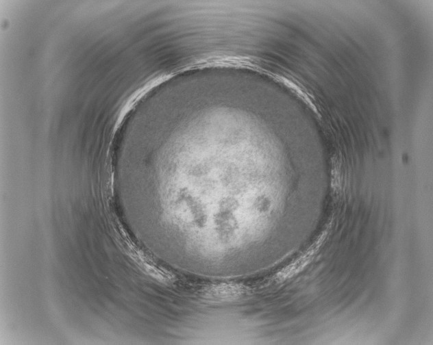 X0000059061117200510101041