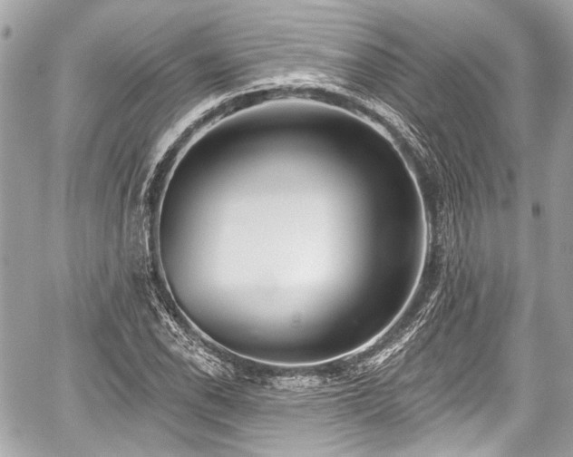 X0000059061118200510101041