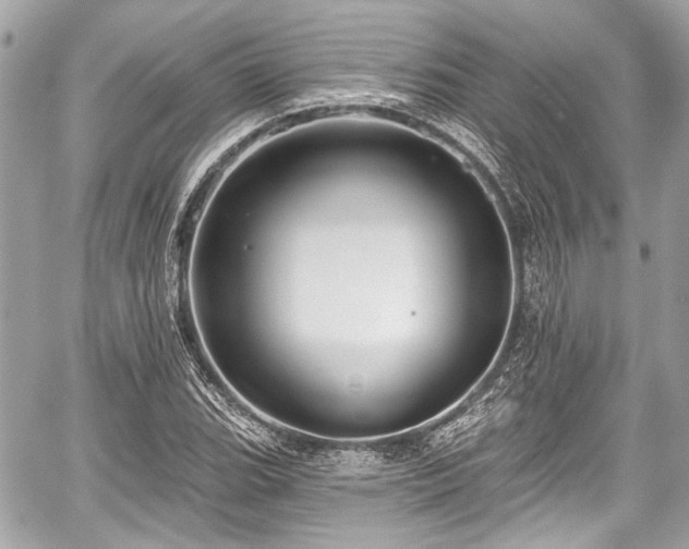 X0000059061119200510101041