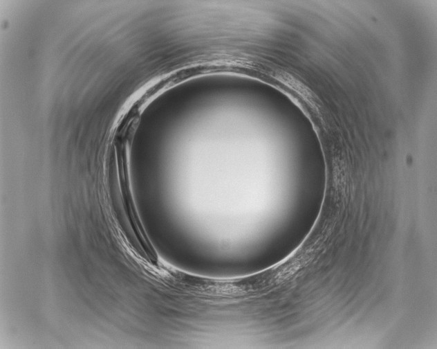 X0000059061120200510101041