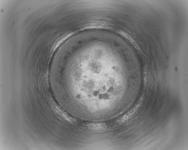 X0000059061121200510101041