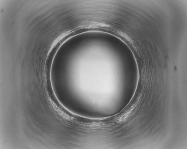 X0000059061122200510101041